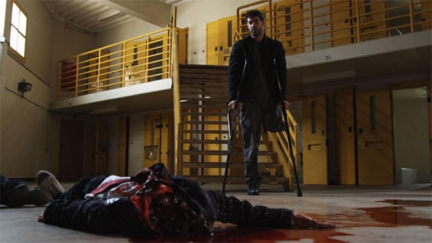 the-human-race-survival