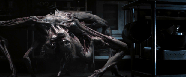 Vlcsnap-2011-12-30-01h42m04s118