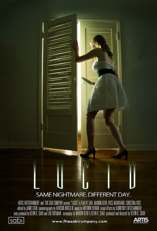 LUCID-Poster-Website