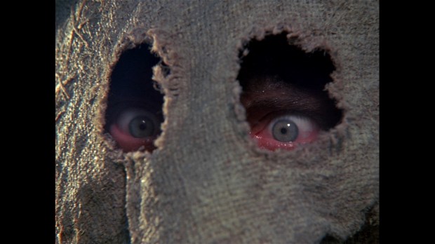 large-dark-night-of-the-scarecrow-blu-ray-movie-1210603218