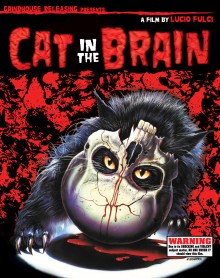 cat in the brain