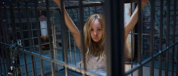 frightfest-pet-3 Pet