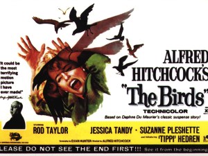 The Birds Movie Poster