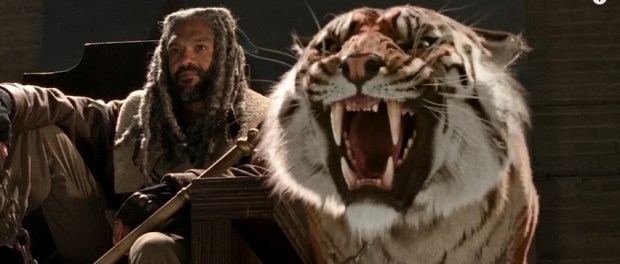 The Walking Dead Easter Egg