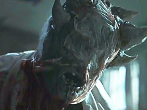 Curse of Sleeping Beauty