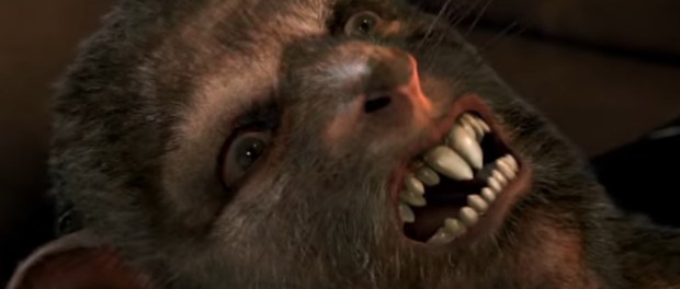 ratpocalypse Ratpocalypse