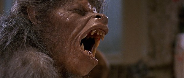 An American Werewolf in London movie