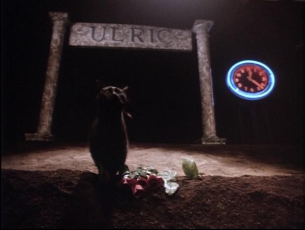 ulric-main-image-1black-cat