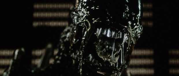 Alien-Xenomorph (1)