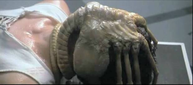 Another Alien Facehugger