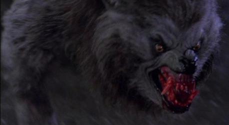 an_american_werewolf_in_london_wolf
