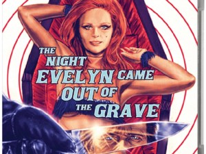The Night Evelyn Came Home Blu-ray Cover