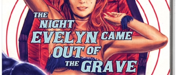 The Night Evelyn Came Home Blu-ray Cover