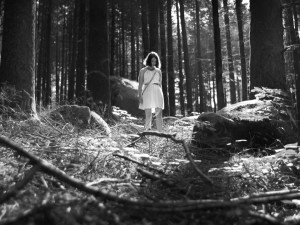 The Forest of Lost Souls