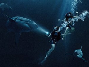 47 Meters Down