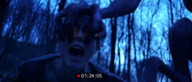 The Gracefield Incident