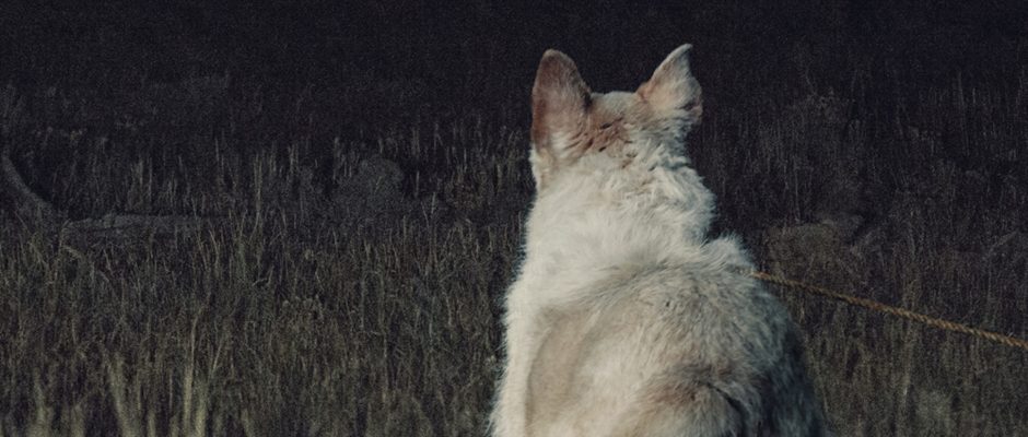 It Comes at Night Review