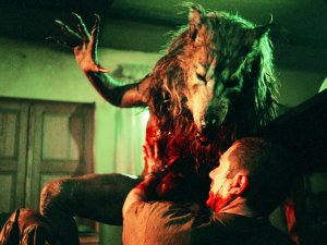 Dog Soldiers