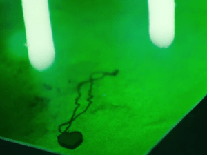 Blood Drive Episode 11 review